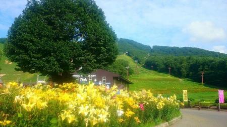 IMG_20160724_083327.jpg