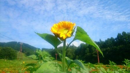 IMG_20160724_083629.jpg
