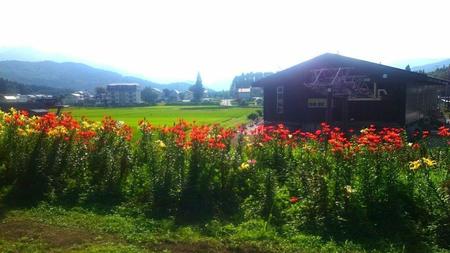 IMG_20160724_083918.jpg