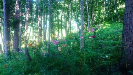 IMG_20160724_084026.jpg