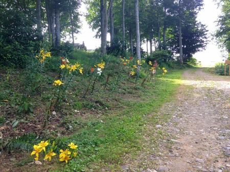 IMG_20160724_090229.jpg