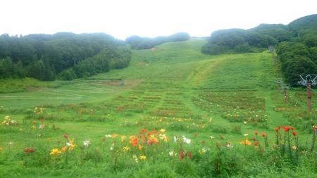 IMG_20160727_084003.jpg