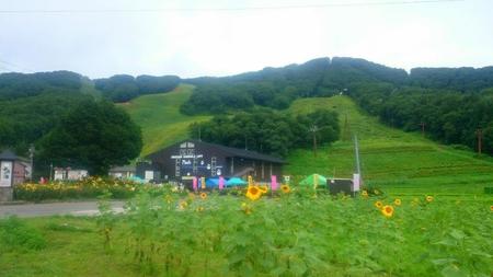 IMG_20160727_084517.jpg