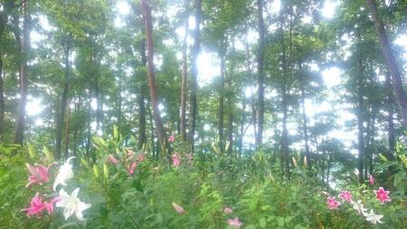 IMG_20160730_082003.jpg