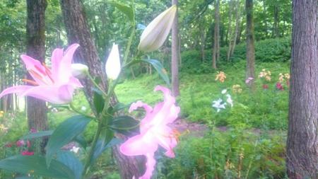 IMG_20160730_082059.jpg