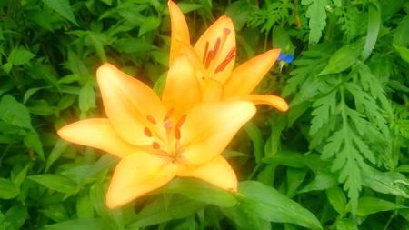 IMG_20160730_082142.jpg