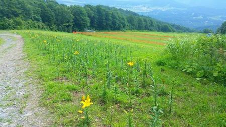 IMG_20160730_083008.jpg