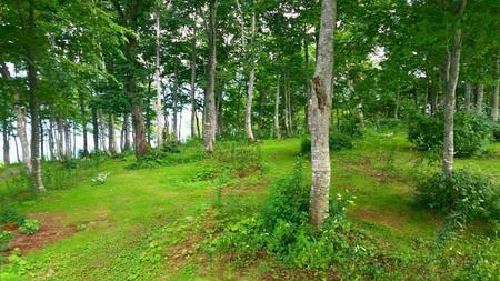 IMG_20160730_083025.jpg