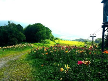 IMG_20160805_094321.jpg