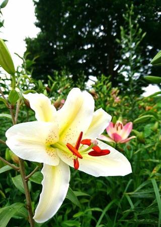 _20170712_094501.jpg