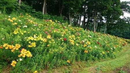 _20170712_095133.jpg