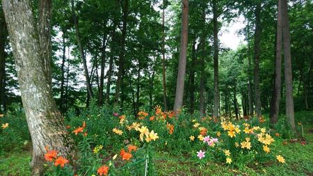 _20170717_083512.jpg